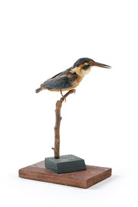 Image description is not available for 2007.2.2